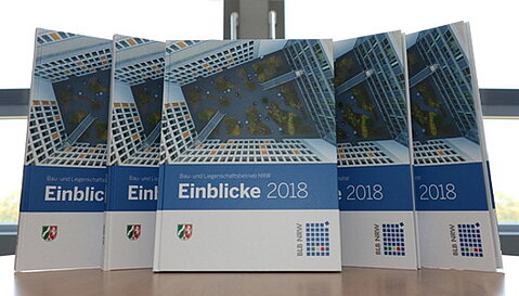 Die Einblicke 2018 sind da