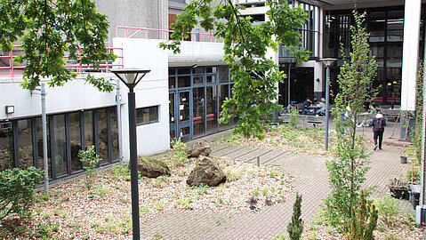 Begrünung Innenhof zwischen den Gebäuden 25.22 und 25.31