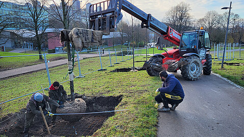 36 neue Bäume auf dem Campus Melaten