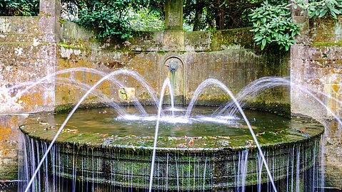 Eingebettet in eine Mauer, entspringt das Wasser des Löwenkopfbrunnens einem Löwenkopf und fließt auf eine Art Tisch.